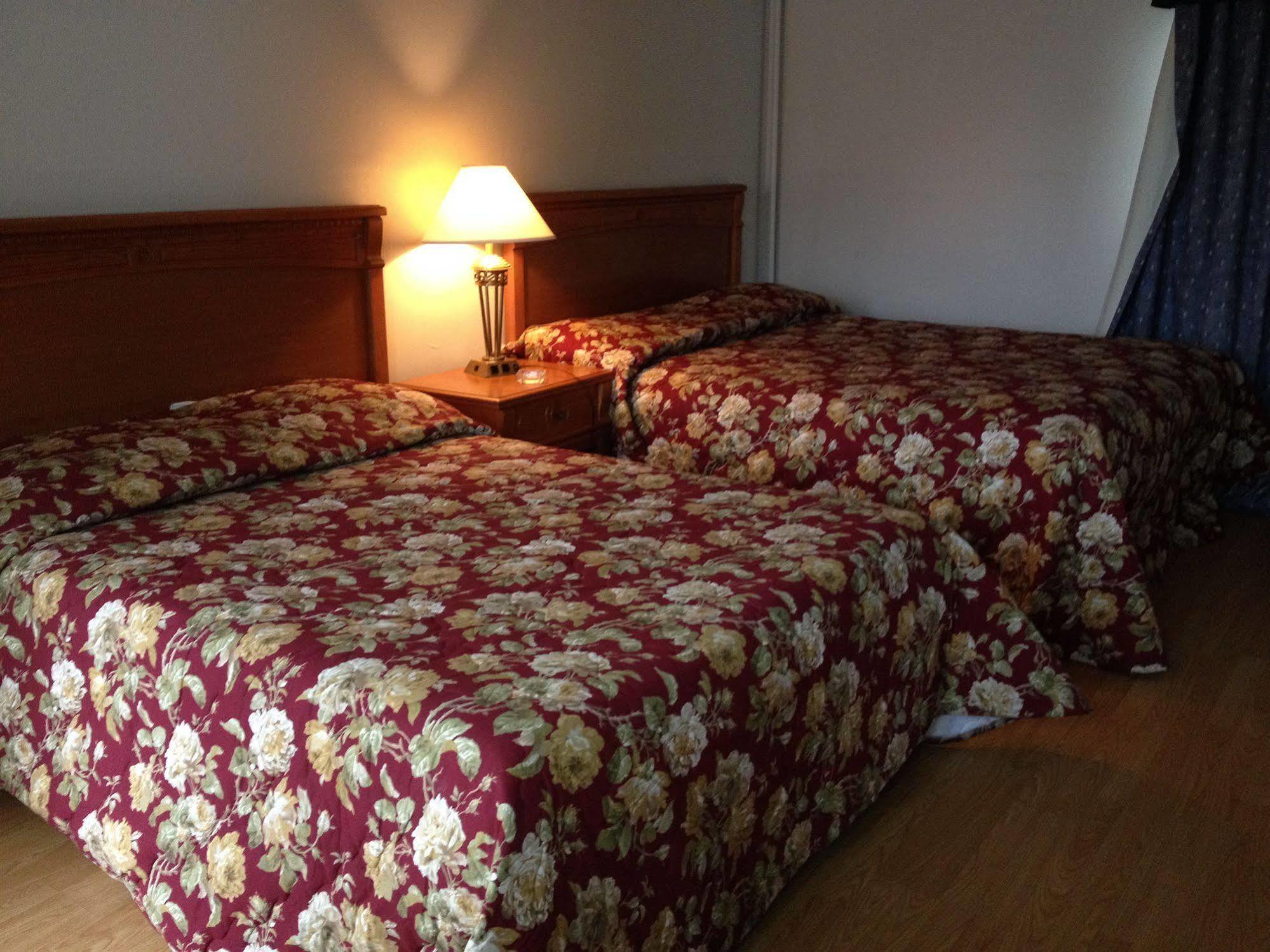 American Plaza Motel ロンドン エクステリア 写真